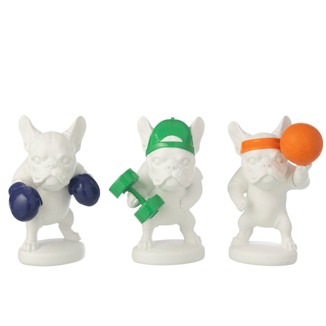 Bulldog Sport in poliresina, assortimento multi di J-Line 3