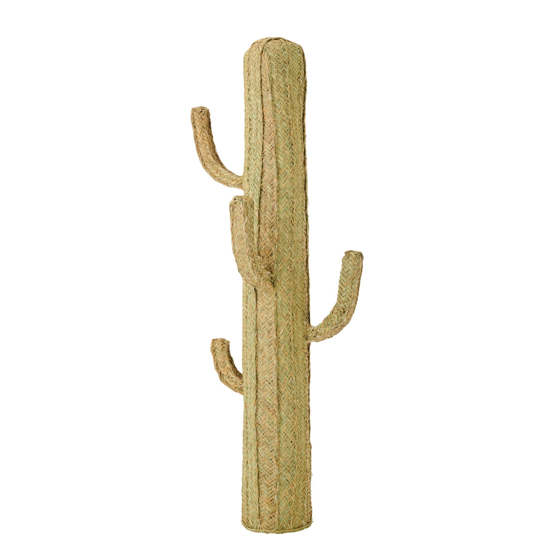 Cactus Erba Naturale Extra Large J-Line