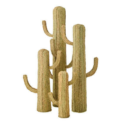 Cactus Erba Naturale Large J-Line