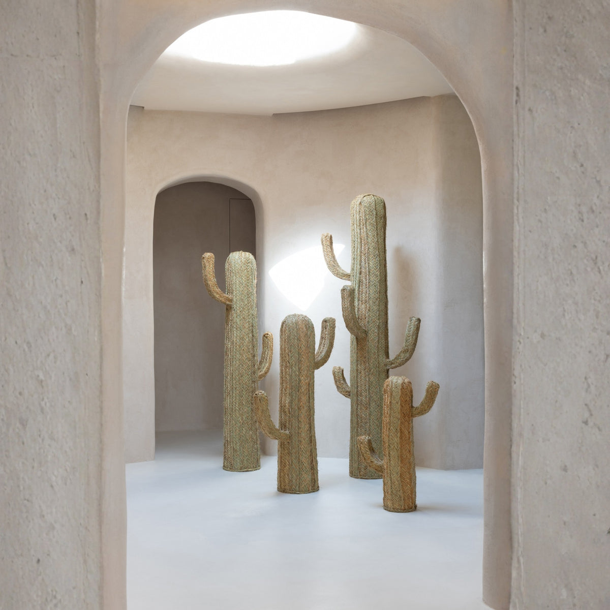 Cactus Erba Naturale Extra Large J-Line