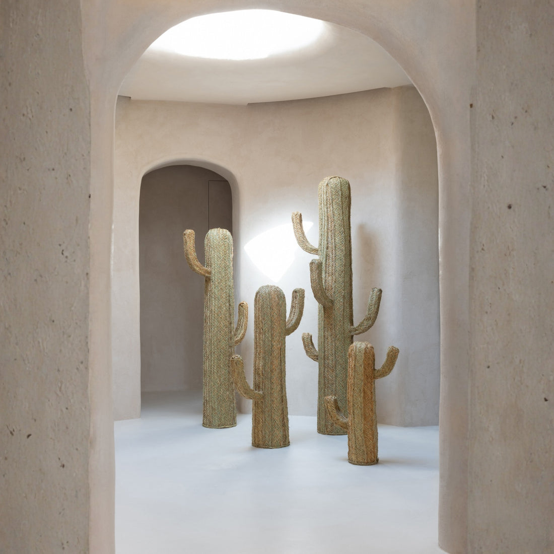 Cactus Erba Naturale Large J-Line