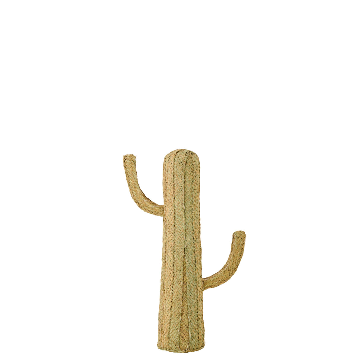 Cactus Erba Naturale Medio J-Line