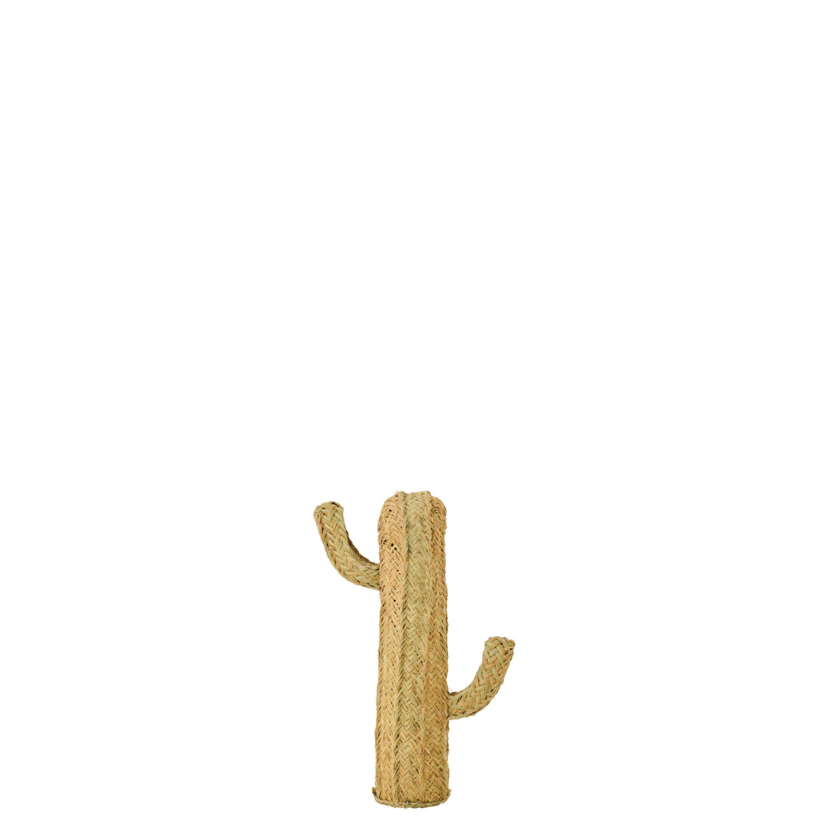 Cactus Erba Naturale Piccola J-Line