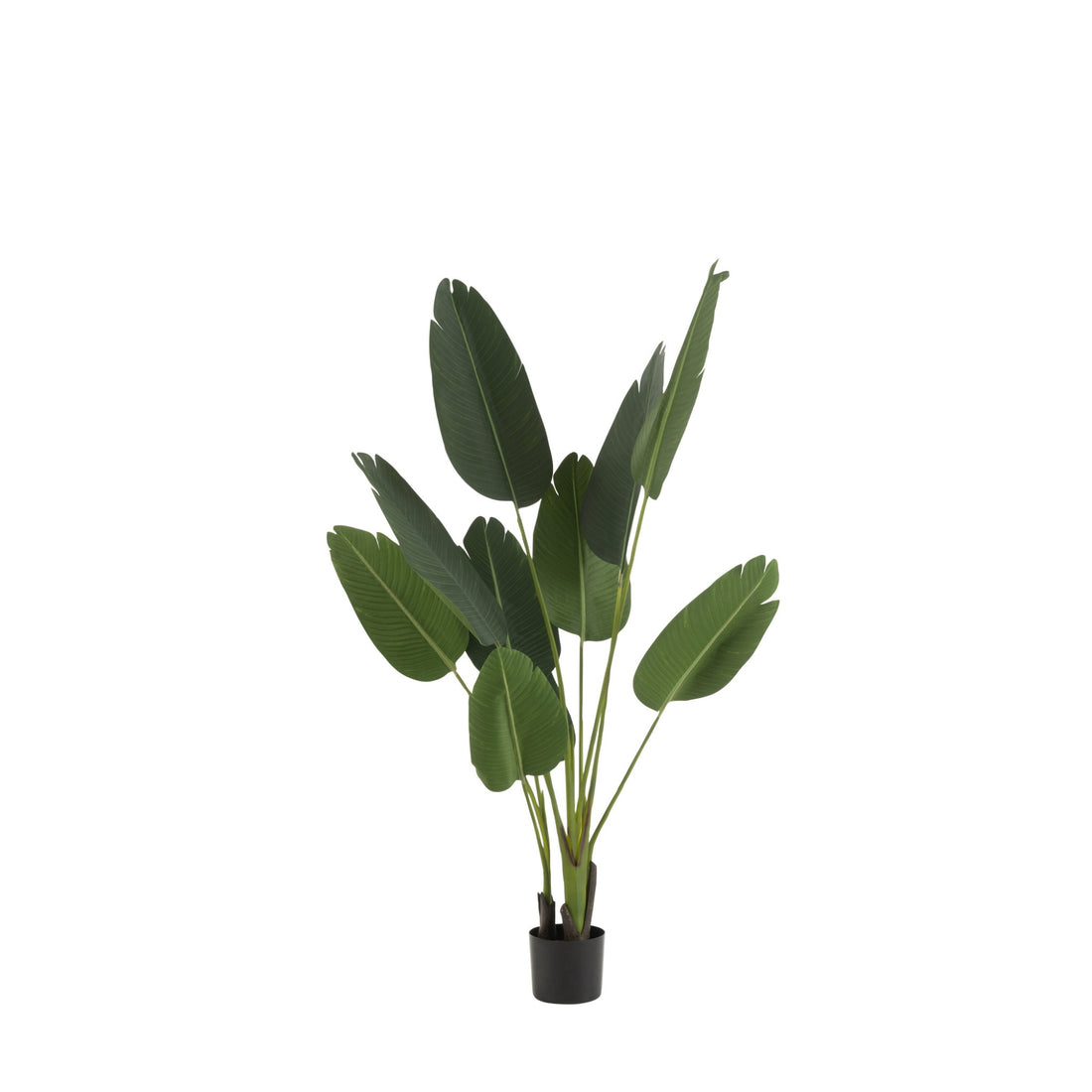 Strelitzia in Plastica Verde Piccola