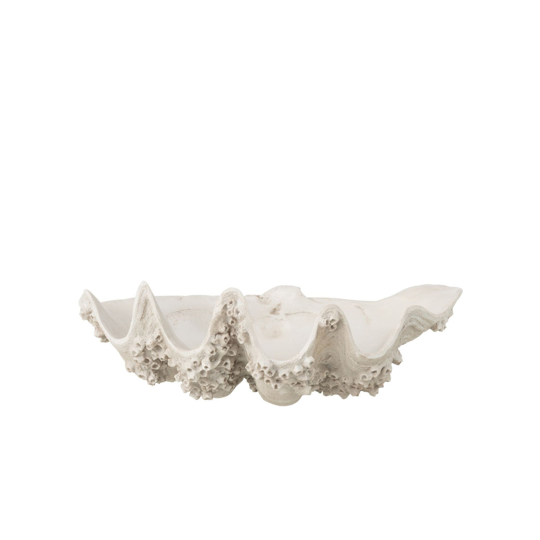 Ciotola decorativa Conchiglia di mare in resina bianco sporco piccola J-Line