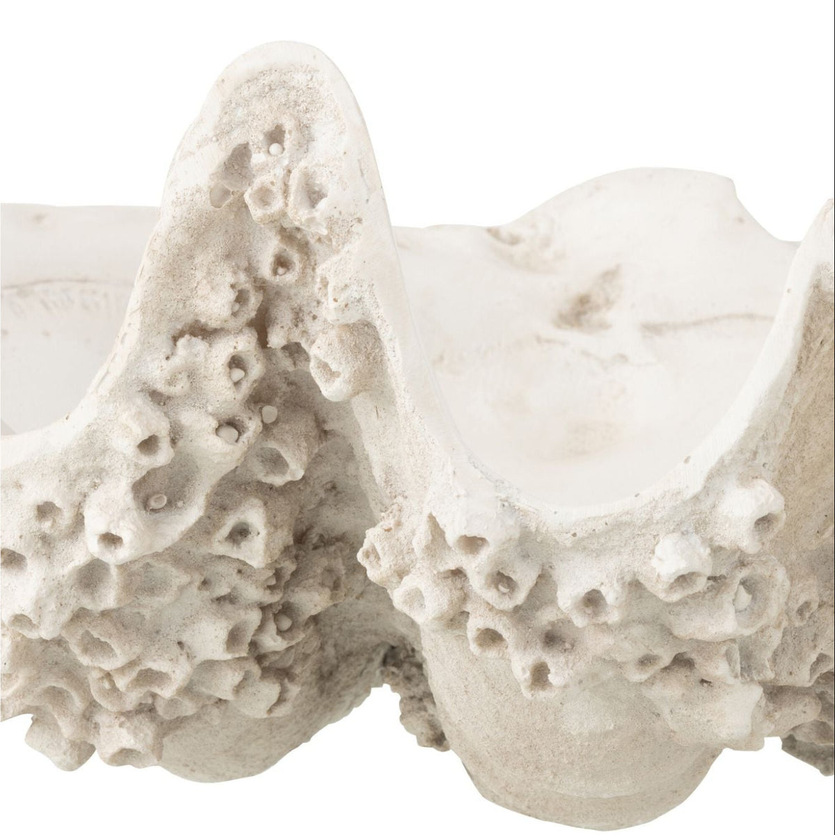 Ciotola decorativa Conchiglia di mare in resina bianco sporco piccola J-Line