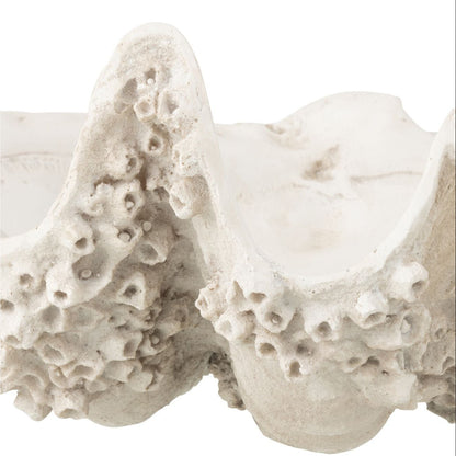Ciotola decorativa Conchiglia di mare in resina bianco sporco piccola J-Line