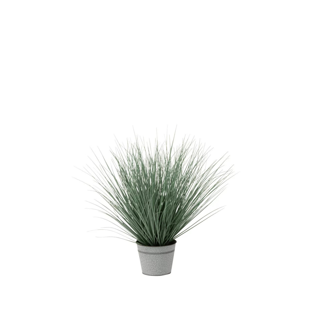 Erbe in vaso di metallo e plastica blu/verde, medie
