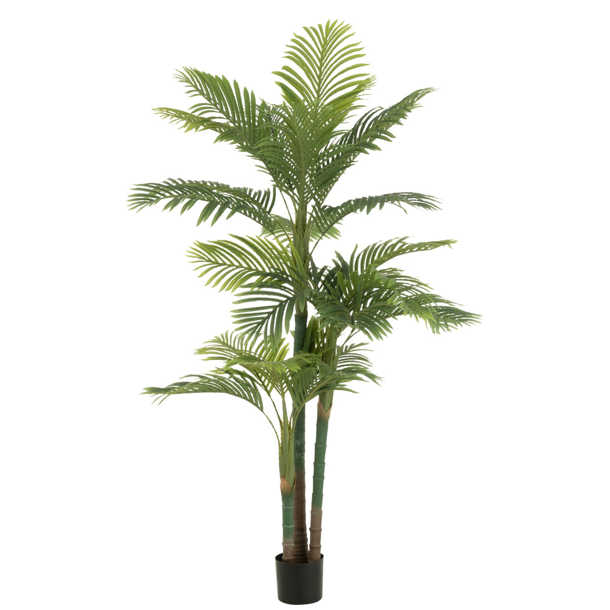Areca Palm in vaso, artificiale, verde, H180 cm, J-Line