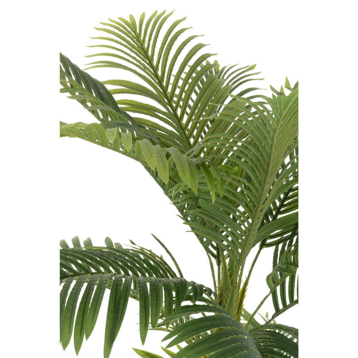 Areca Palm in vaso, artificiale, verde, H180 cm, J-Line