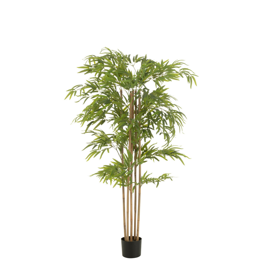 Bambù in vaso in plastica verde H150 cm J-Line