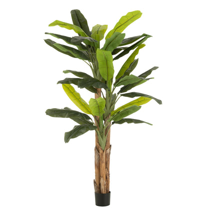 Musa In Vaso Artificiale Verde H300cm J-Line