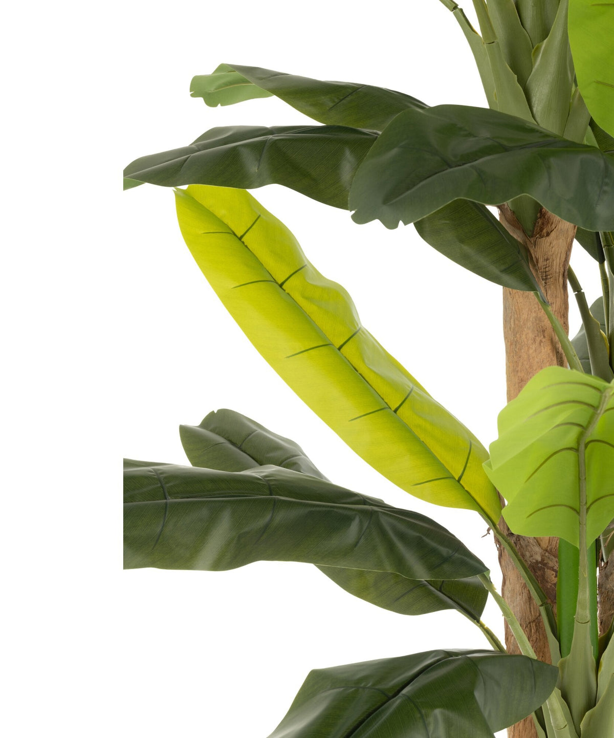 Musa In Vaso Artificiale Verde H300cm J-Line