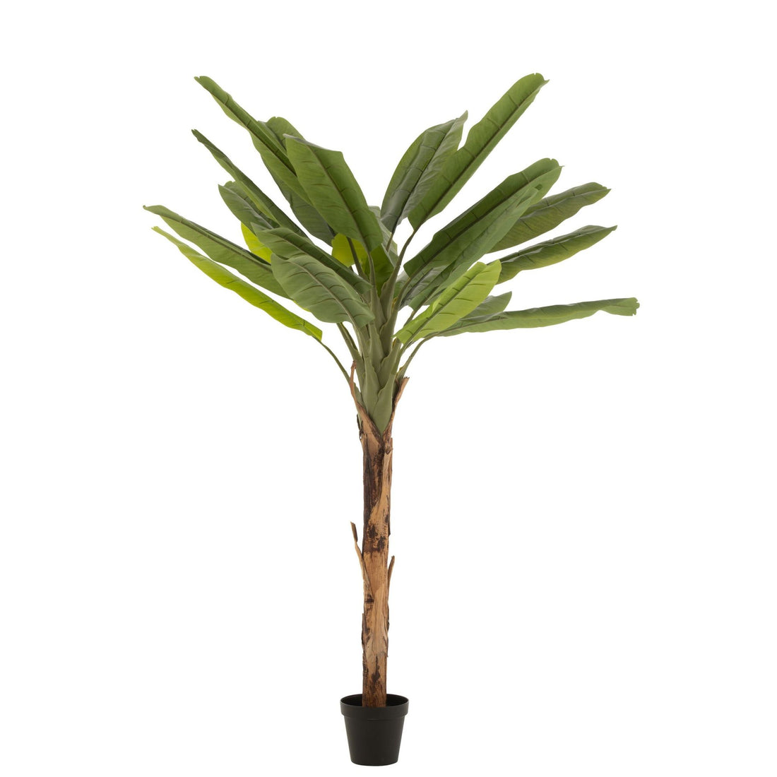 Palma da banana in plastica verde/marrone H250 cm J-Line