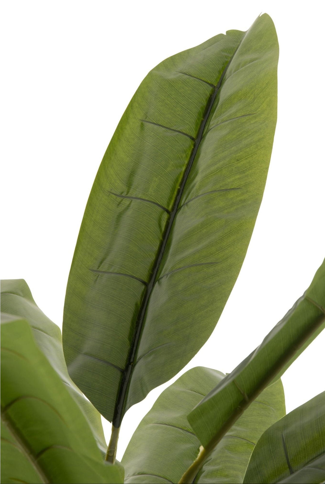 Palma da banana in plastica verde/marrone H250 cm J-Line