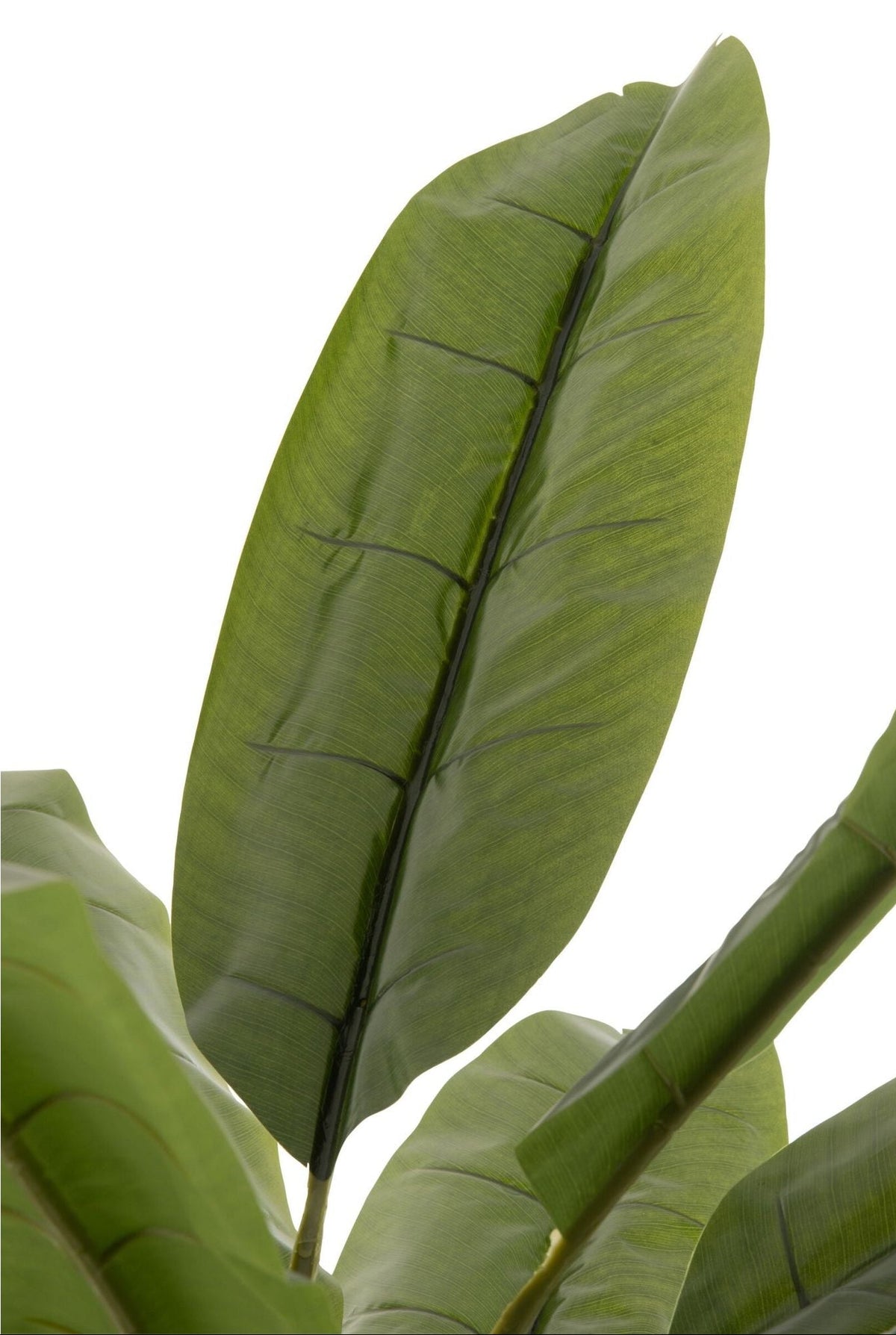 Palma da banana in plastica verde/marrone H250 cm J-Line