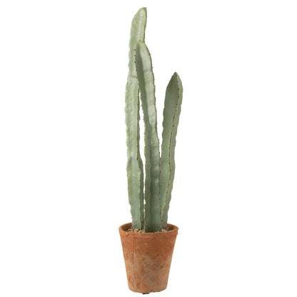 Cactus in vaso di plastica verde grande, set da 3