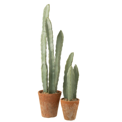 Cactus in vaso di plastica verde grande, set da 3
