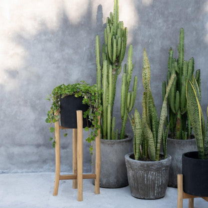 De Charcoal Hoge Plantenbak - Zwart - Large - Pot - Bazar Bizar - livinglovely.nl