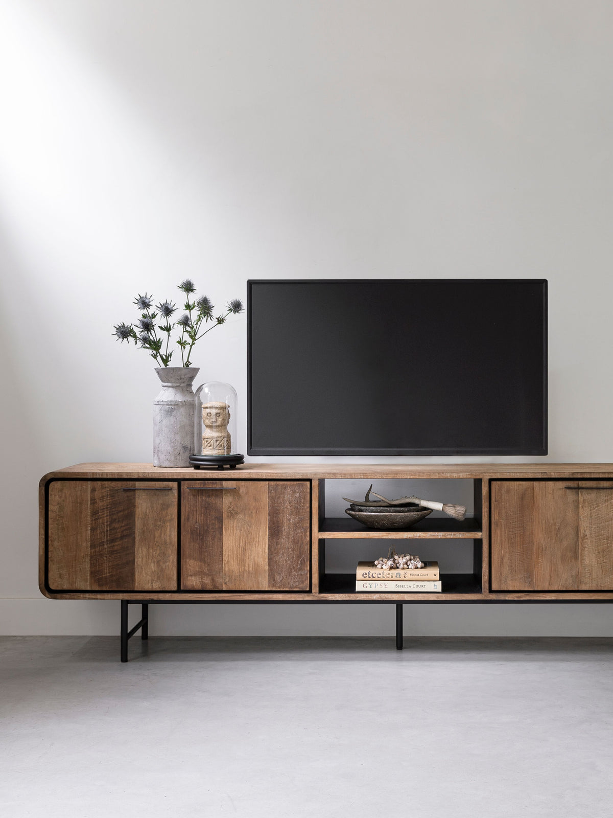 DTP Home Mobile TV Evo Large
