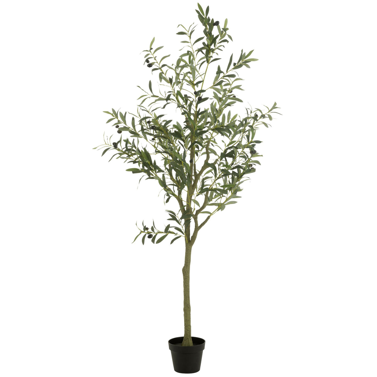 Ulivo in vaso in plastica verde Large H180 cm J-Line