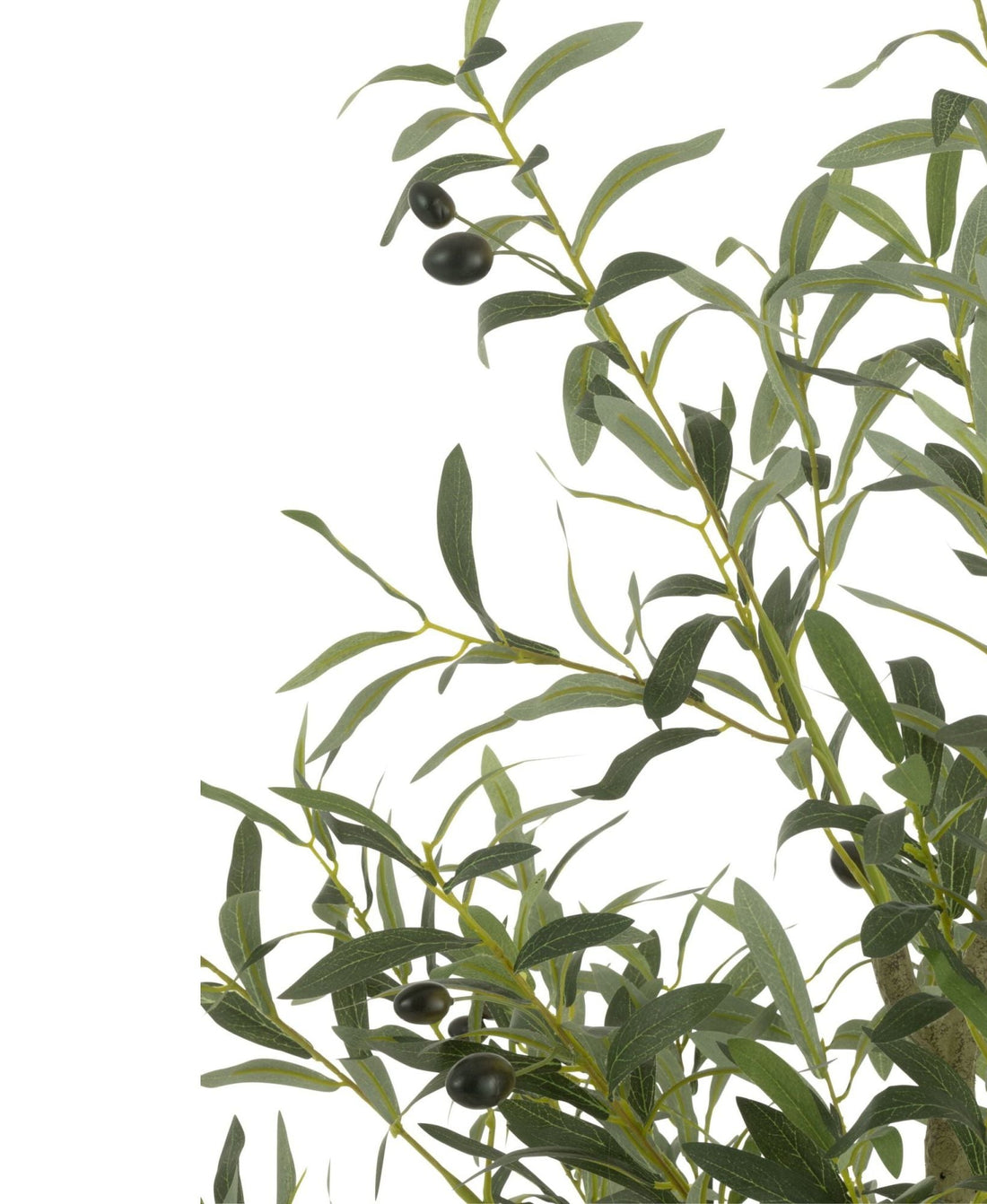 Ulivo in vaso in plastica verde Large H180 cm J-Line