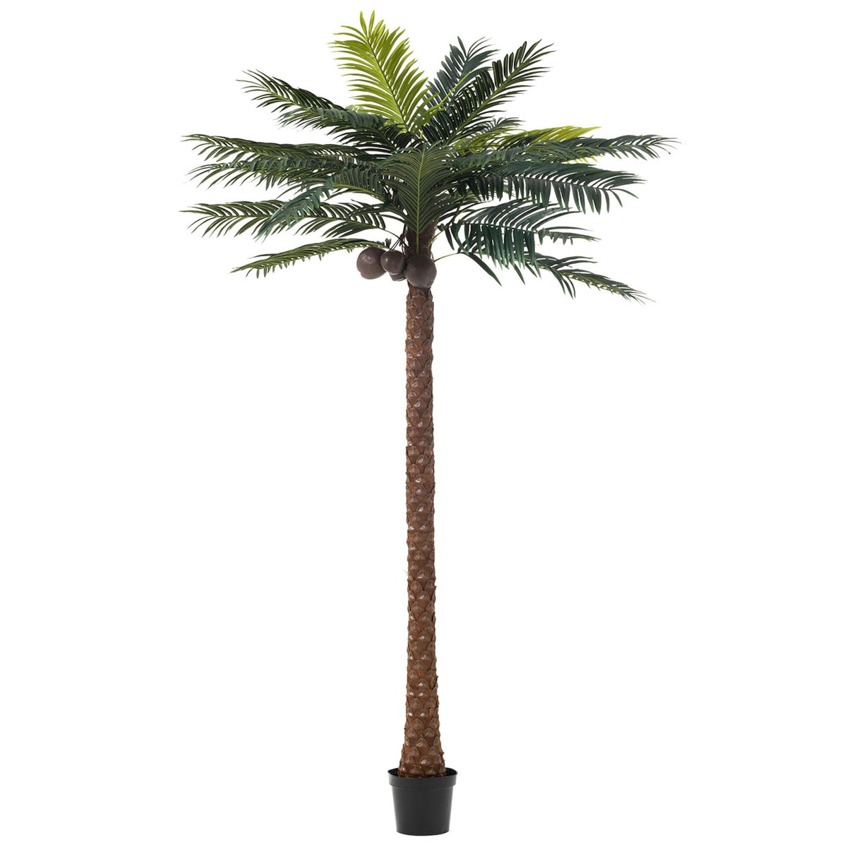 Palma con 4 cocchi in vaso, artificiale, verde, H 350 cm, J-Line