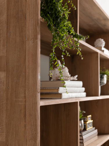 Libreria DTP Home Apollo