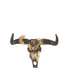 Schedel Os Vlinder Resin Bruin/Goud Small - Wanddecoratie - J-Line - livinglovely.nl