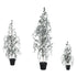 Set Van 3 Florine LED Kunstkerstbomen Mosgroen Met Sneeuw van PTMD, de complete set met alle drie de kunstkerstbomen naast elkaar op witte achtergrond