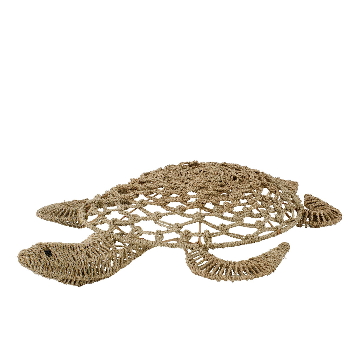 Oggetto da parete Tartaruga e alghe marine naturale grande J-line